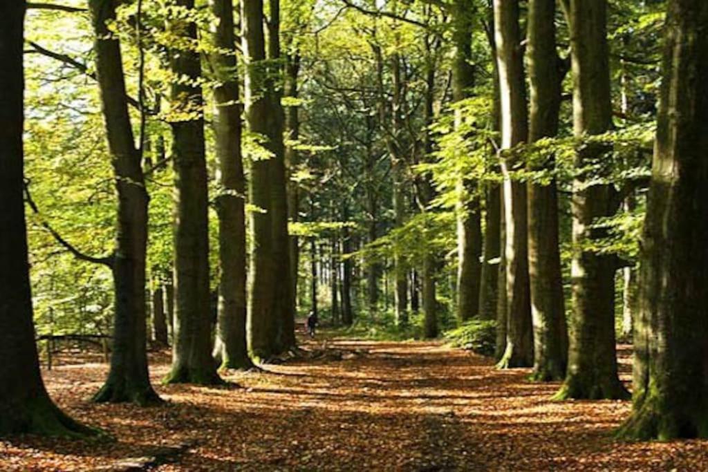 Sfeervol Chalet Midden In De Natuur Halle Buitenkant foto